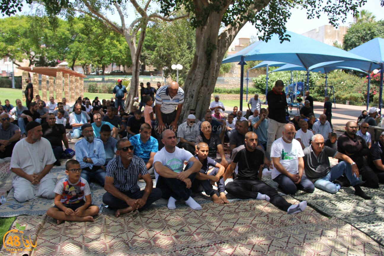 salah jom3a ajami (19).jpg